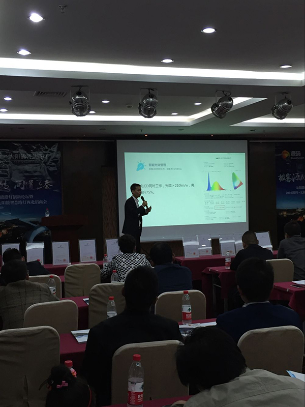 太陽能路燈，太陽能路燈廠家，太陽能路燈價格