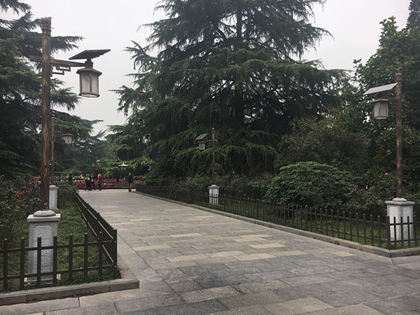 源碼太陽能路燈，太陽能路燈廠家，太陽能路燈價格