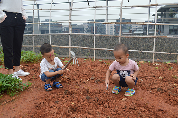 太陽能路燈，太陽能路燈廠家，太陽能路燈價格