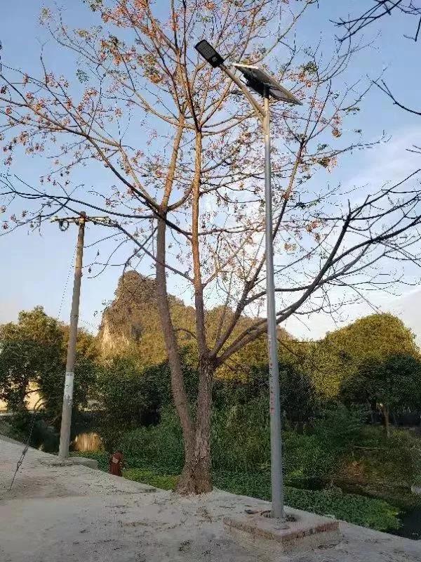 照亮農村幸福路！源碼攜手建設柳州“村屯光亮工程