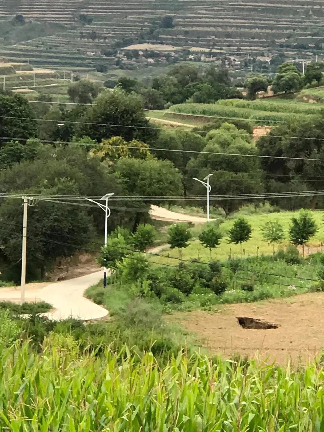 案例賞析〡云雁高飛，助力鄉(xiāng)村振興