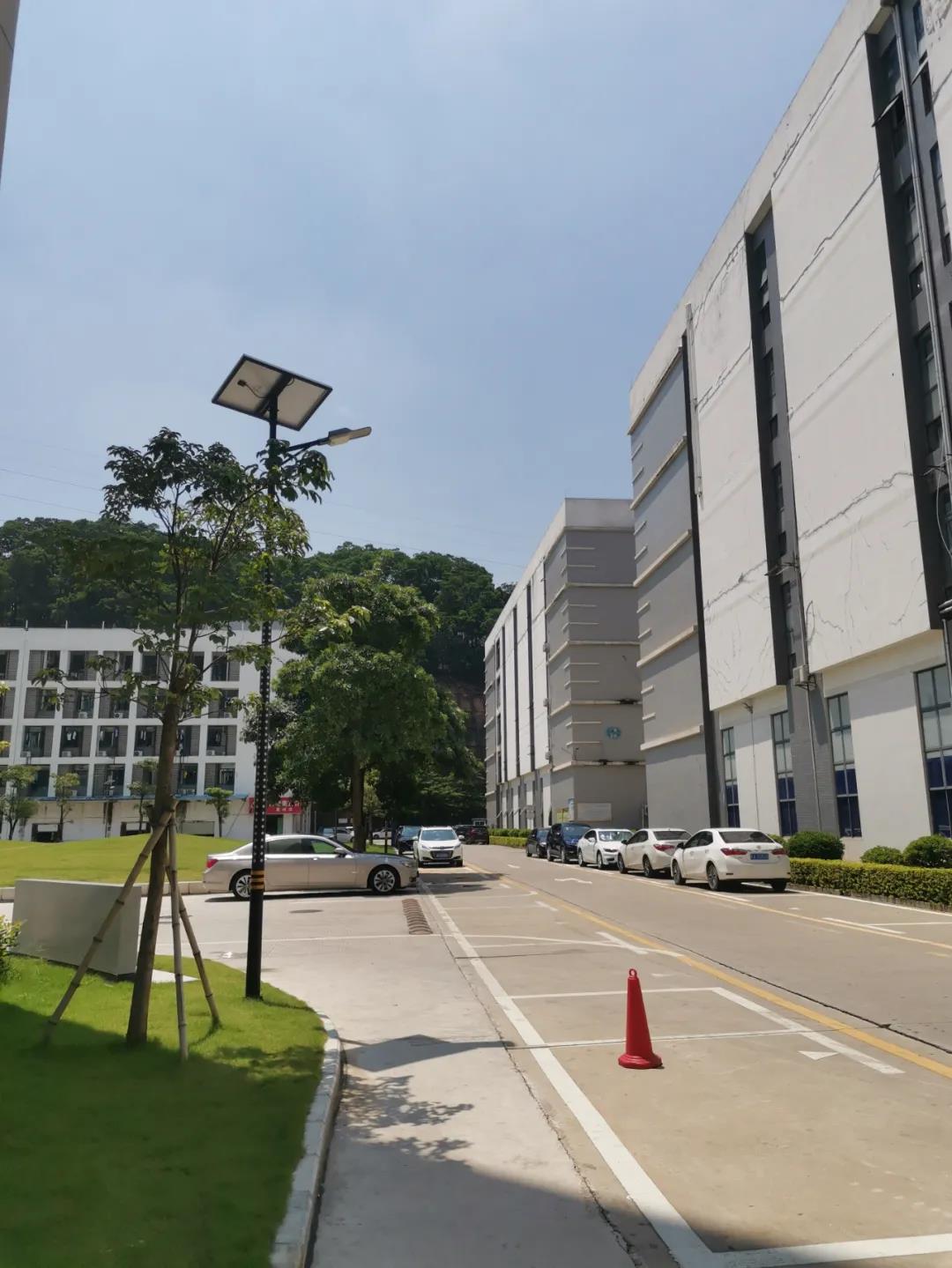 案例賞析〡云雁高飛，助力鄉(xiāng)村振興