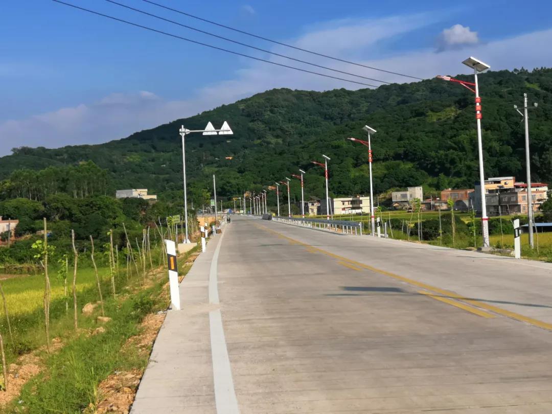 案例賞析〡云雁高飛，助力鄉(xiāng)村振興