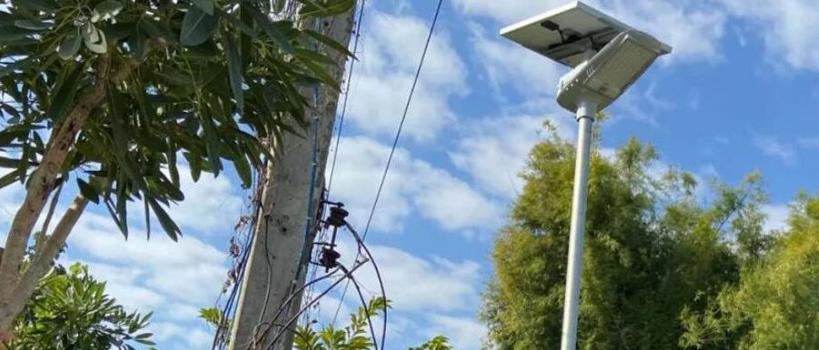 案例賞析〡2022迎新春，源碼項目掀熱潮